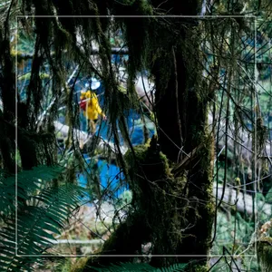 girl in the yellow jacket cover