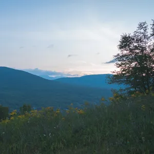 somber mornings cover