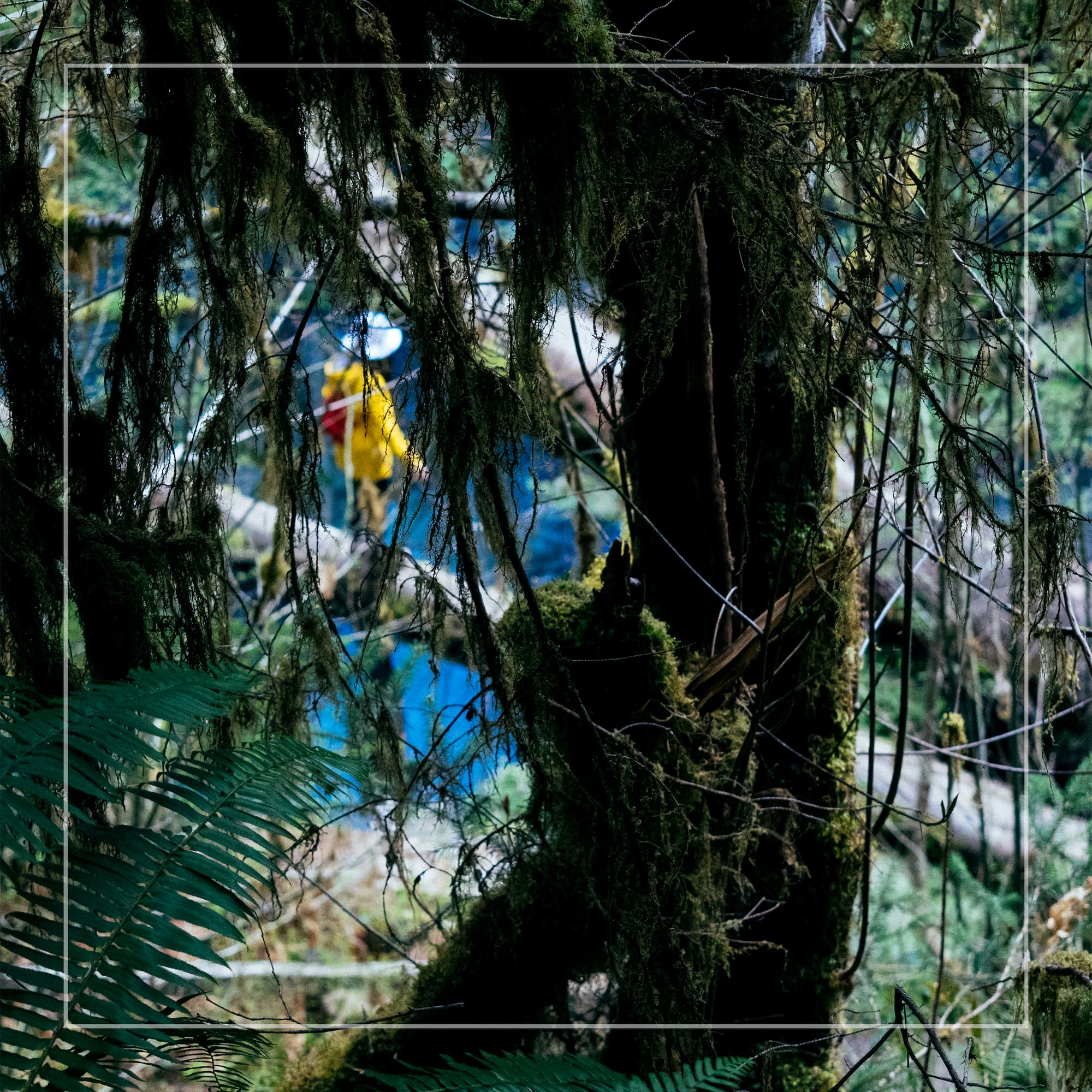 girl in the yellow jacket cover