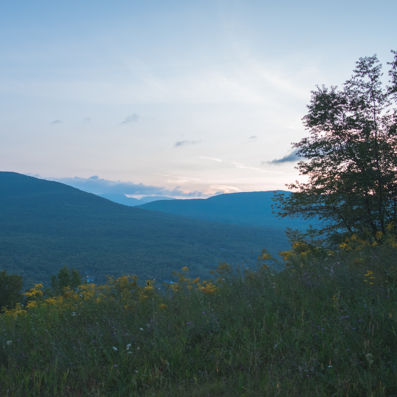 somber mornings cover